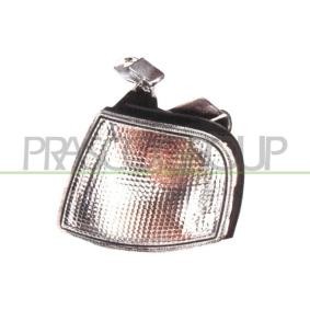 Lichtscheibe, Blinkleuchte DS1744114