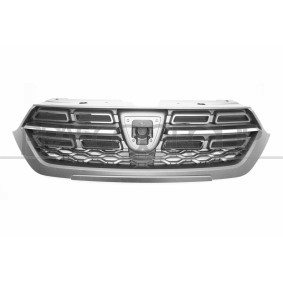 Kühlergrill DS2702001