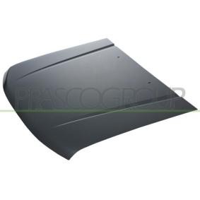 Motorhaube DS8103100