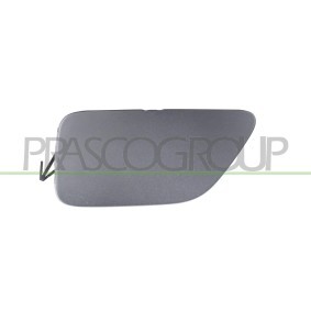 Radhausschale DS8103655