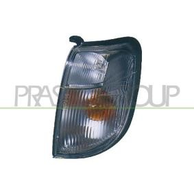 Blinker DS8104013