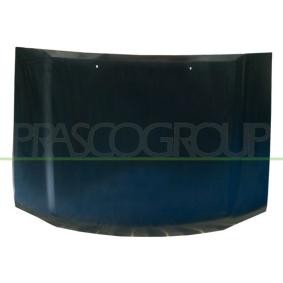 Motorhaube DS8123100