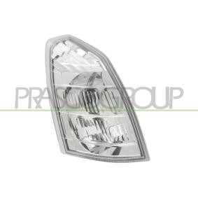 Blinker DS8304113