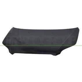 Motorhaube DW3273110