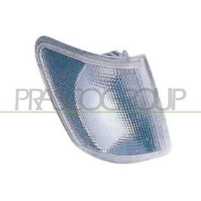 Blinker von PRASCO