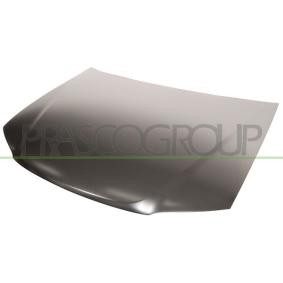 Motorhaube FT1143100