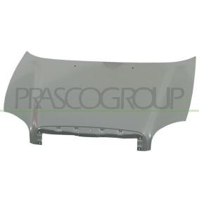 Motorhaube HN8123110