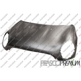 Motorhaube MN3083100