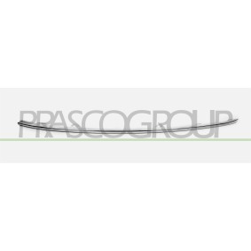 SKODA Blinker von PRASCO