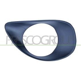 Acquista Mostrina, Paraurti da PRASCO TY3251241 a buon mercato per soli 11,38 €