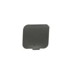 Klappe, Abschlepphaken 5513-00-0075920P