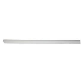 Comprar Listón embellecedor / protector, puerta de BLIC 5703-04-9539578P a bajo precio de 25,17 €