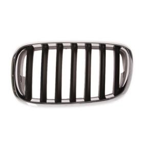 Kühlergrill 6502-07-0096991P