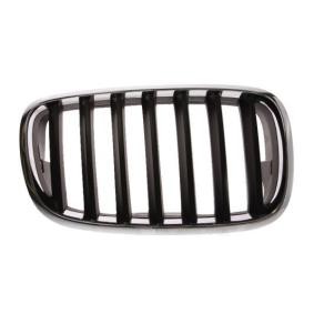 Kühlergrill 6502-07-0096992P