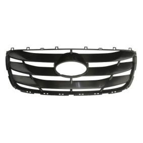 Kühlergrill 6502-07-3181991P