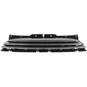 Kühlergrill 6502-07-4001992P