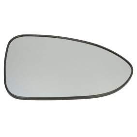 Lüftungsgitter, Stoßfänger 6502-07-6607997P