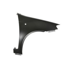 Kotflügel 6504-04-2023314P von BLIC günstig für 48,97 € online kaufen