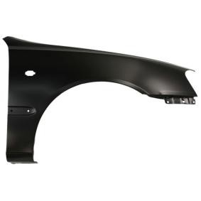Kotflügel 6504-04-3155312P von BLIC günstig für 50,96 € online kaufen