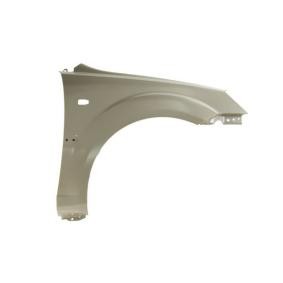 Kotflügel 6504-04-3277312P von BLIC günstig für 58,90 € online kaufen