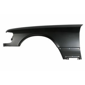 Kotflügel 6504-04-3524311P