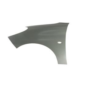 Kotflügel 6504-04-5507313P von BLIC günstig für 43,65 € online kaufen