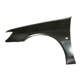 Kotflügel 6504-04-5513311P von BLIC günstig für 71,03 € online kaufen