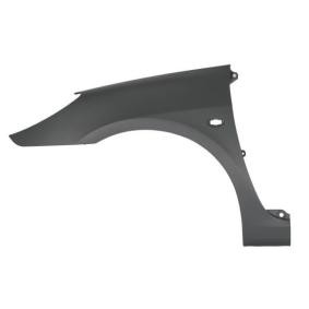 Kotflügel 6504-04-5514313P von BLIC günstig für 15,71 € online kaufen