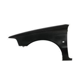 Kotflügel 6504-04-9009313P von BLIC günstig für 105,81 € online kaufen