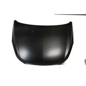 Motorhaube 6803-00-1133280P