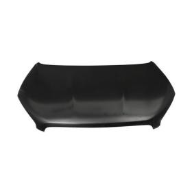 Motorhaube 6803-00-1617281P