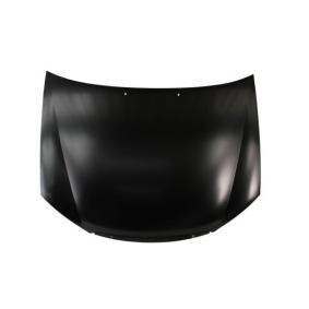 Motorhaube 6803-00-3278280P