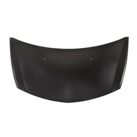 Motorhaube 6803-00-6033281P