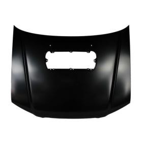 Motorhaube 6803-00-6736281P