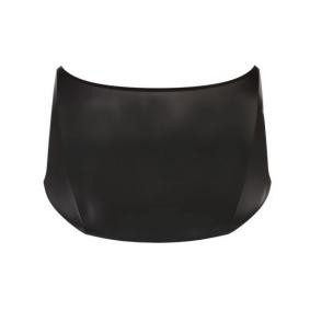 Motorhaube 6803-00-6737280P