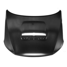 Motorhaube 6803-00-6737281P