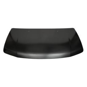 Motorhaube 6803-00-6825280P