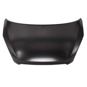 Motorhaube 6803-00-6832280P
