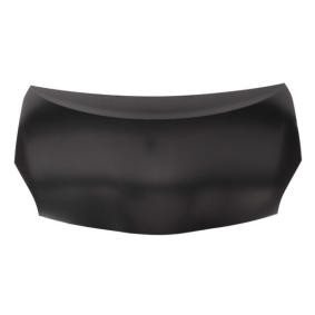 Motorhaube 6803-00-8199280P