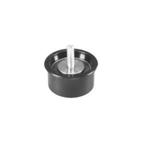 Comprar Polea de inversión y guía, correa de distribución de MAGNETI MARELLI 331316170051 a bajo precio de 13,53 €