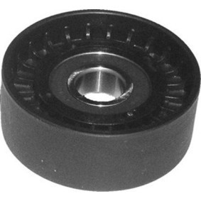 Compre Rolo tensor, correia trapezoidal estriada da MAGNETI MARELLI 331316170152 a um preço baixo por 14,27 €