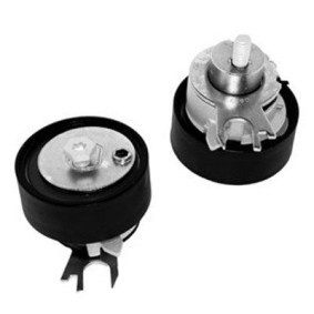 Achetez des Ressort, poulie (courroie de distribution) MAGNETI MARELLI 331316170496 à prix pour 31,83 €