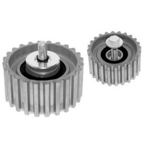 Achetez des Poulie renvoi / transmission, courroie de distribution MAGNETI MARELLI 331316170528 à prix pour 63,06 €