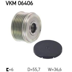 Achetez des Poulie roue libre, alternateur SKF VKM 06406 à prix pour 31,61 €