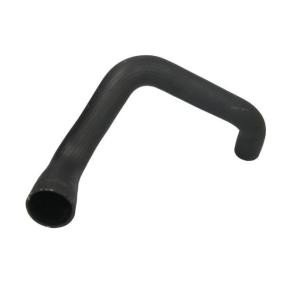 Ansaugschlauch, Luftfilter von THERMOTEC für Scénic I (JA0/1_, FA0_) günstig online kaufen