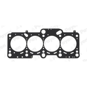 Acquista Guarnizione testata da PAYEN AG9600 a buon mercato per soli 50,14 €