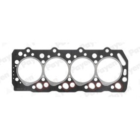 Acquista Guarnizione testata da PAYEN BS130 a buon mercato per soli 37,63 €
