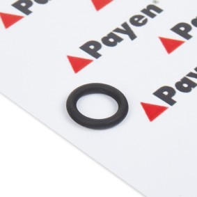 Achetez des Joint d'étanchéité, boulon de couvercle de culasse PAYEN NA5279 à prix pour 3,43 €