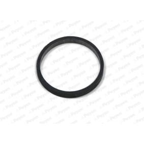 Comprar Junta, colector de admisión de PAYEN JD5811 a bajo precio de 9,41 €