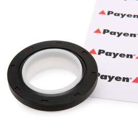 Acquista Paraolio albero a gomiti da PAYEN NA5191 a buon mercato per soli 8,51 €